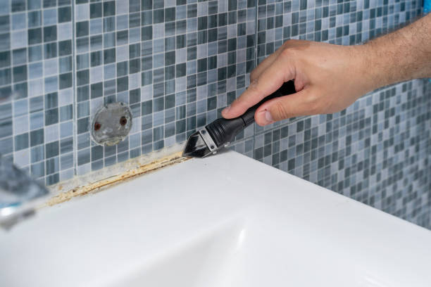 Best Commercial Mold Remediation in Manning, IA